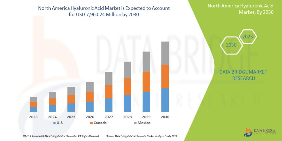 North America Hyaluronic Acid Market Insights 2021: Trends, Size, CAGR, Growth Analysis to 2030
