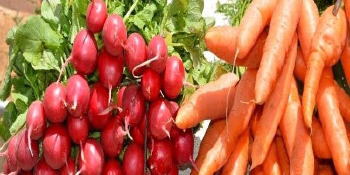 Top Vegetable Exporter in Bangladesh