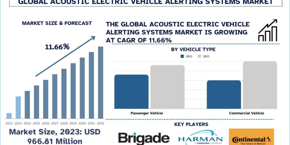 Acoustic Electric Vehicle Alerting Systems Market Growth, Trends And Forecast 2024-2032