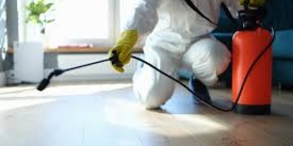 Rochester Pest Control: Keeping Your Home Pest-Free