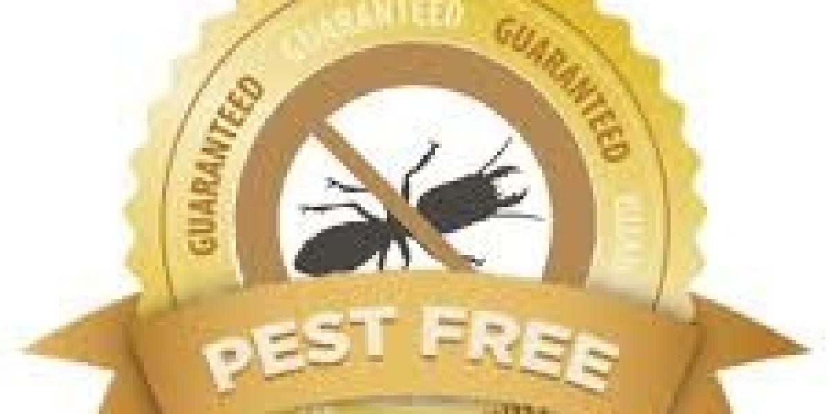 Rochester Pest Control: Keeping Your Home Pest-Free