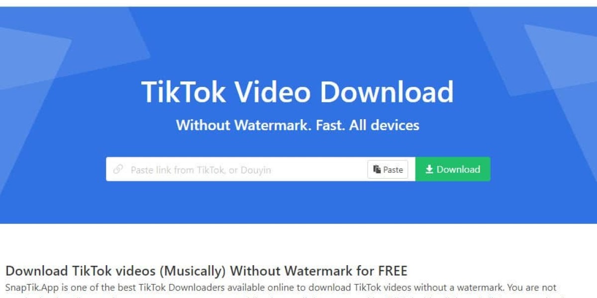 Tiktok Video Downloader