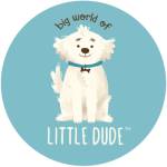 Big World of Little Dude Profile Picture