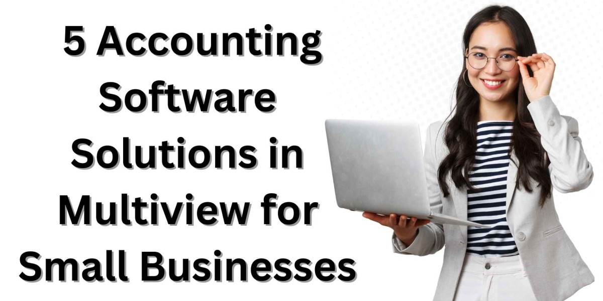 5 Accounting Software Solutions in Multiview for Small Businesses