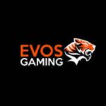 Evosgaming 1 Profile Picture