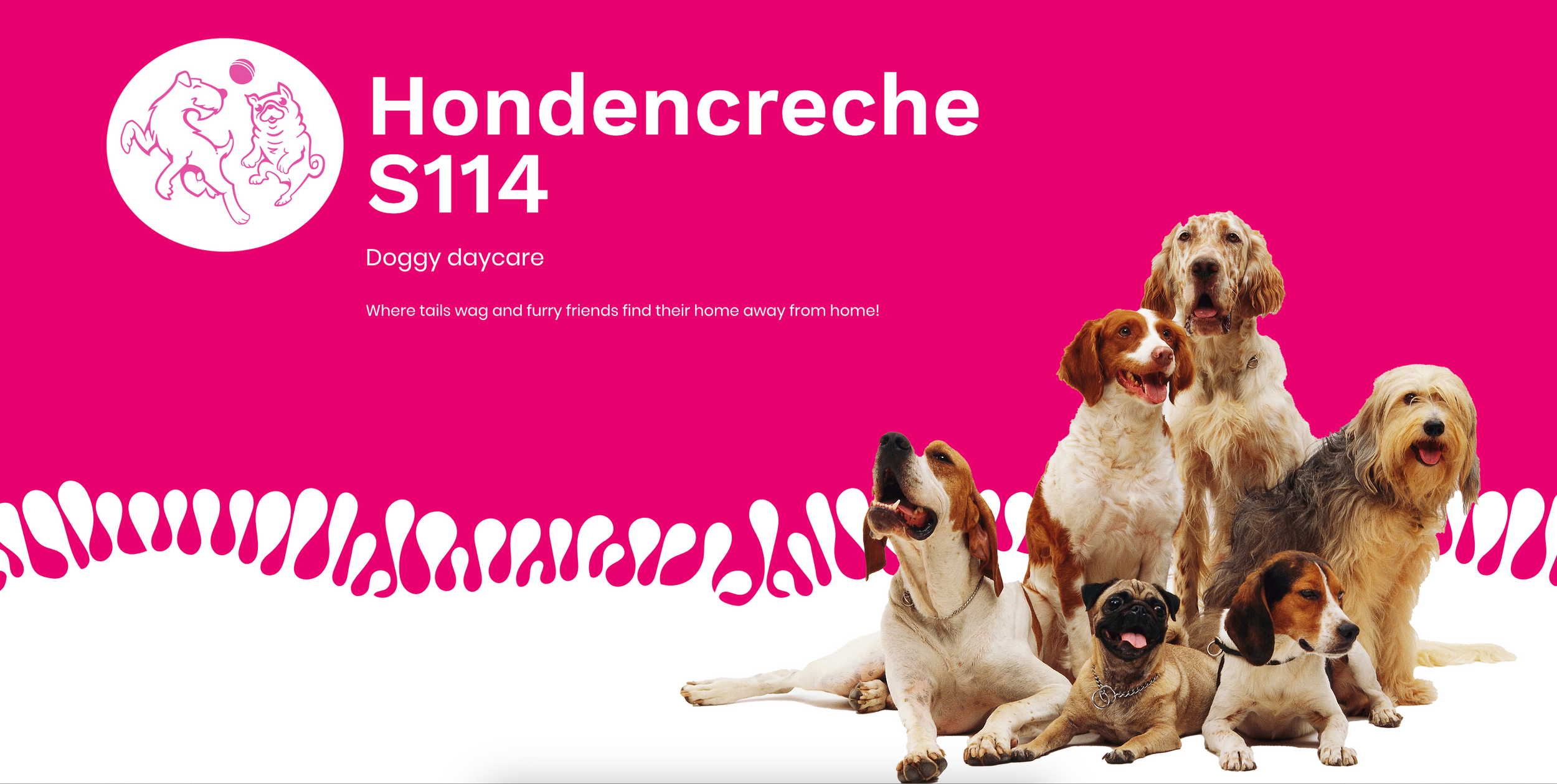 Dog Daycare Services in Amsterdam | Hondencreche