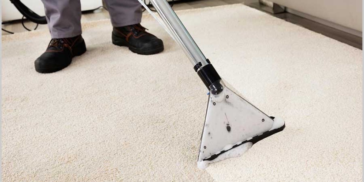 Why Carpet Cleaning Is Key to a Healthier, Happier Home