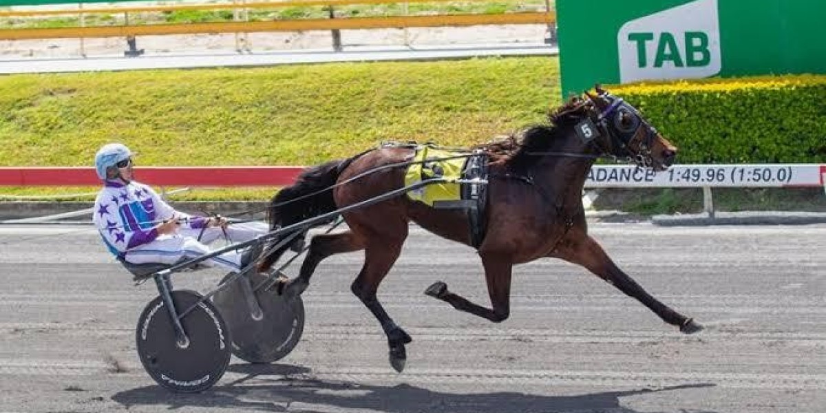 harness racing drivers in brisbane