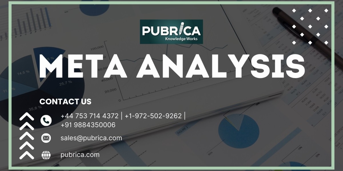 Unlock the Power of Data with Professional Meta-Analysis Services