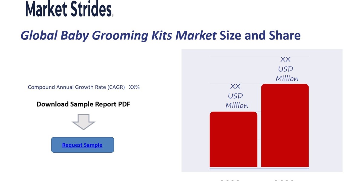 Global Baby Grooming Kits Market Projections 2025-2033: Size, Share & Future Trends