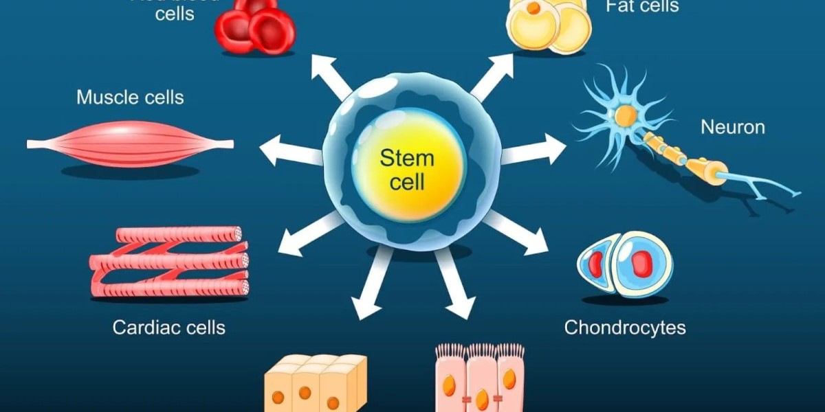 The Future of Regenerative Medicine: Japan's Advanced Stem Cell Therapies